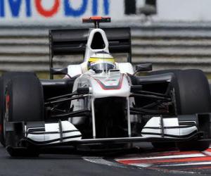 Puzzle Pedro de la Rosa-Sauber - 2010 Ουγγρικό Grand Prix
